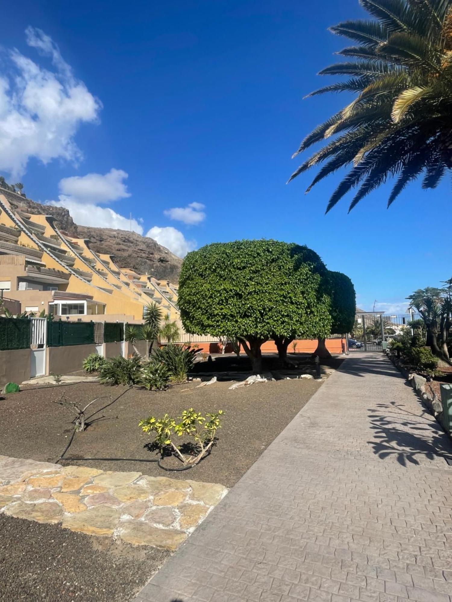 La Casita De Mon - Radazul Villa Dış mekan fotoğraf